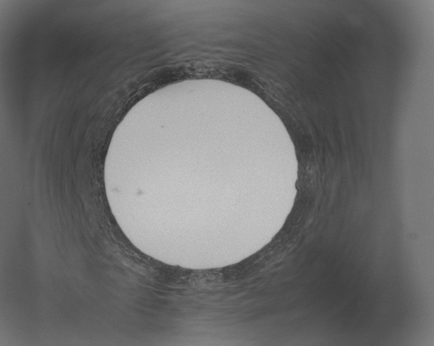 X0000060280865200511241519