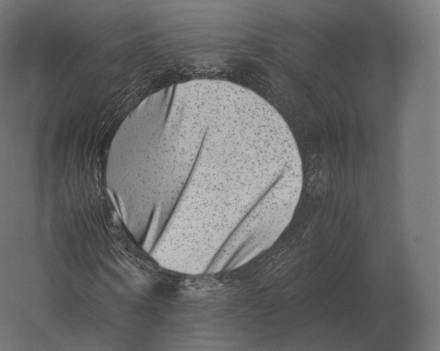 X0000060280866200511241519