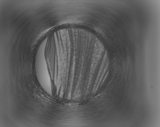 X0000060280872200511241518