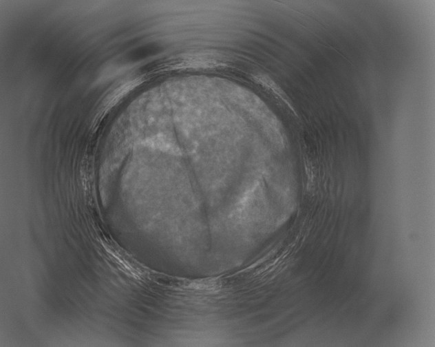 X0000060280874200511241518