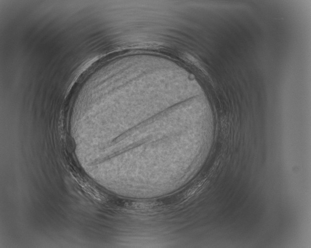X0000060280875200511241518