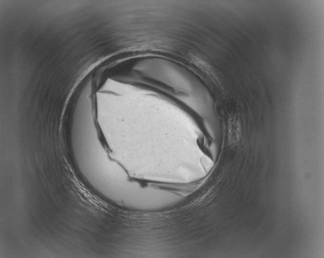 X0000060280876200511241518