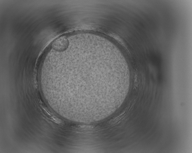 X0000060280878200511241518