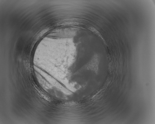 X0000060280882200511241518