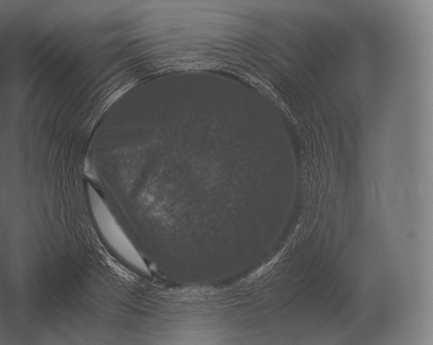 X0000060280889200511241518