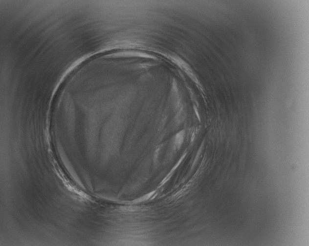 X0000060280904200511241518