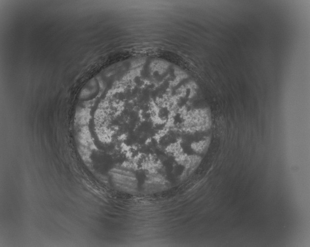 X0000060280913200511241517