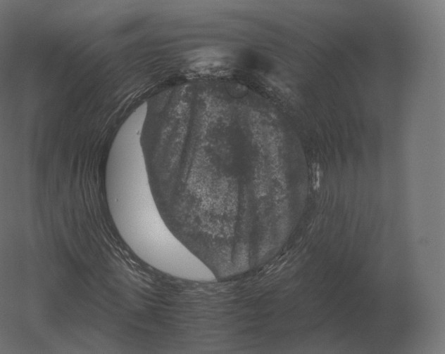 X0000060280915200511241517