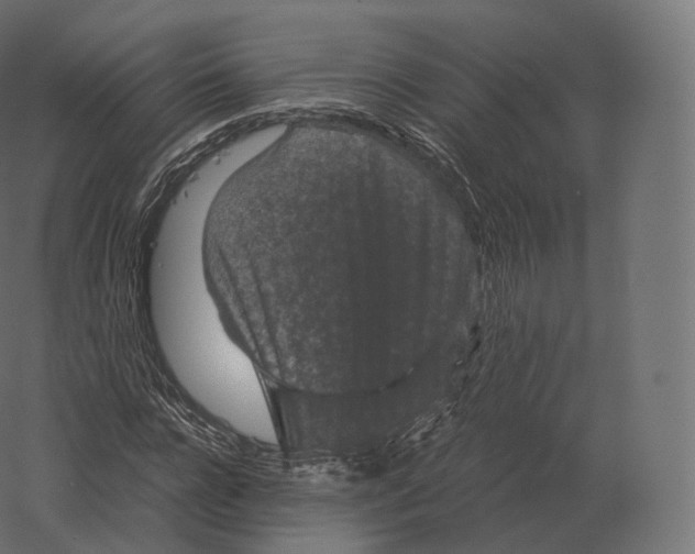 X0000060280920200511241517