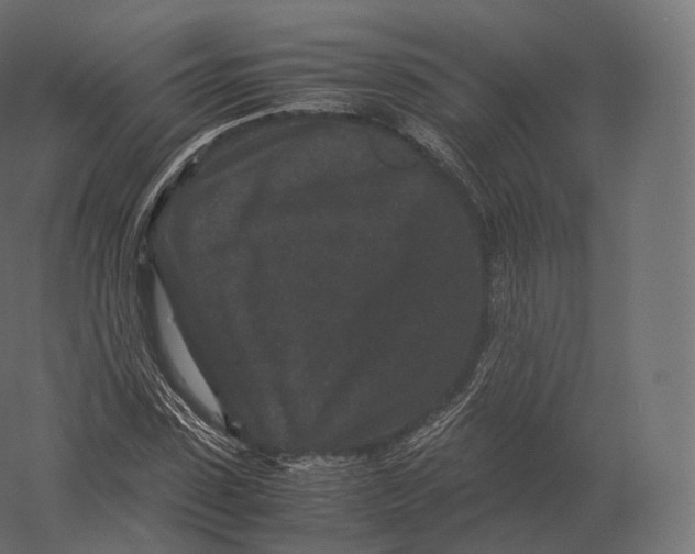 X0000060280923200511241517