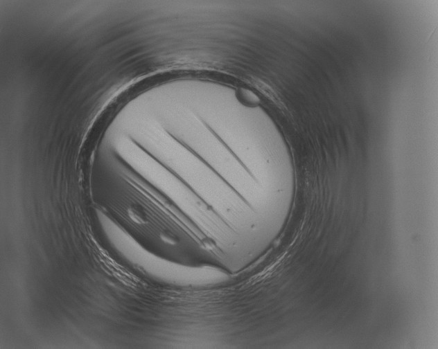 X0000060280926200511241517