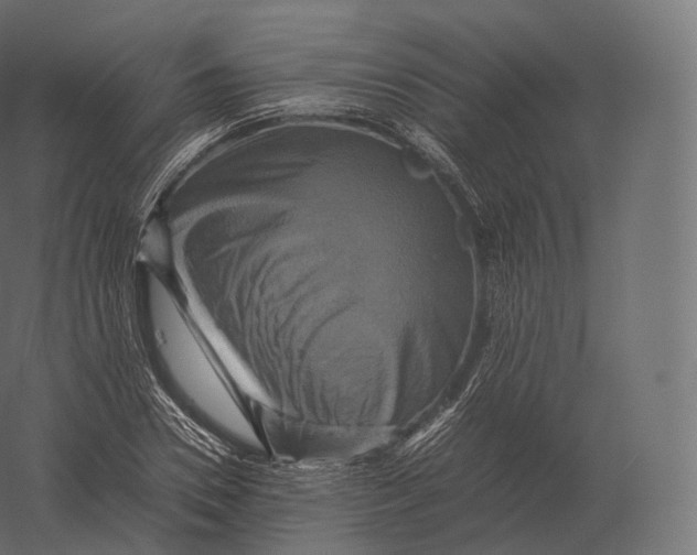 X0000060280930200511241517
