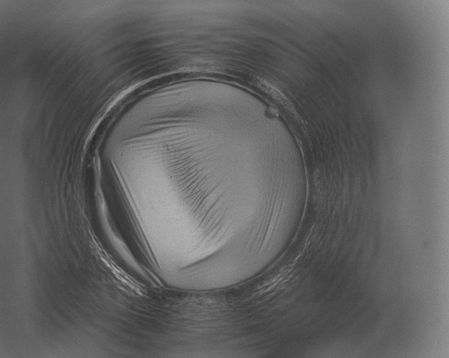 X0000060280931200511241517