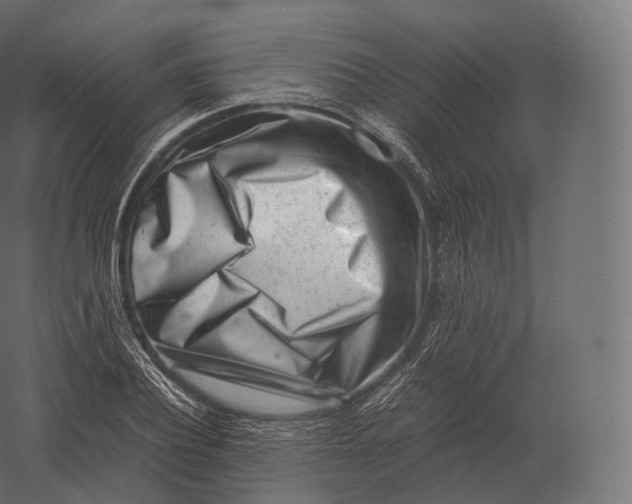 X0000060280932200511241517