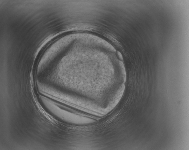 X0000060280936200511241517