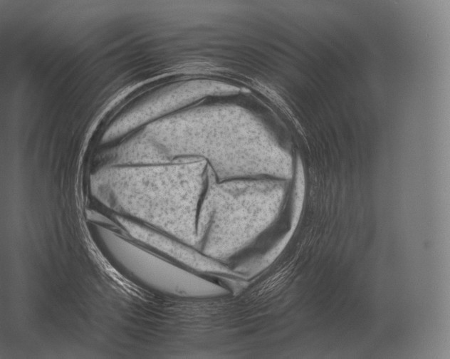 X0000060280939200511241517