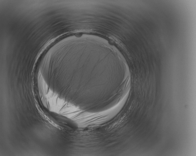 X0000060280941200511241517