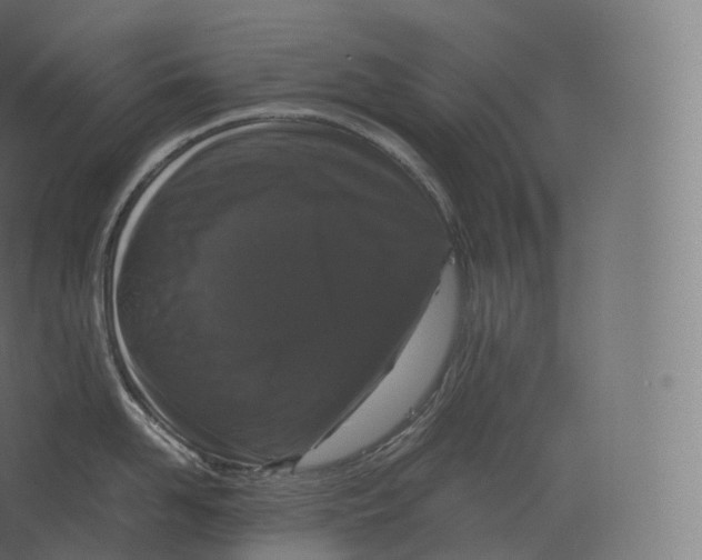 X0000060280958200511241518