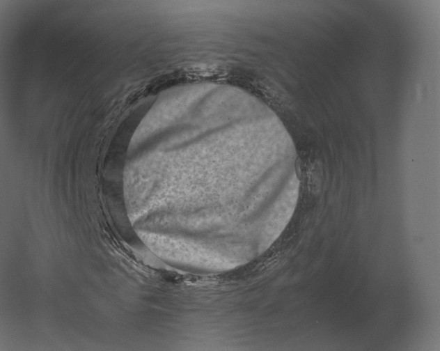 X0000060280961200511241517