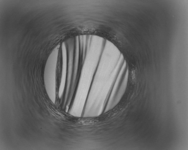 X0000060280963200511241517