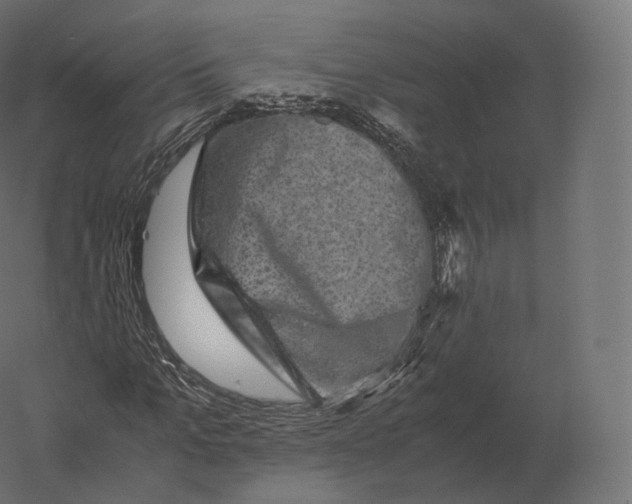 X0000060280965200511241517