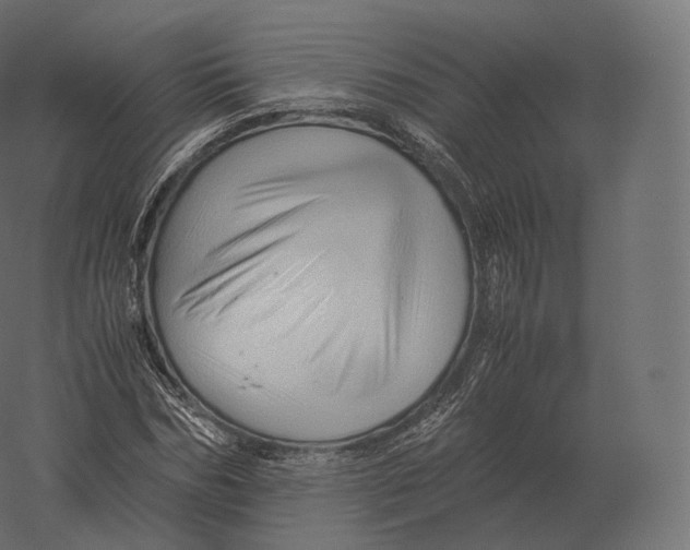 X0000060280970200511241517