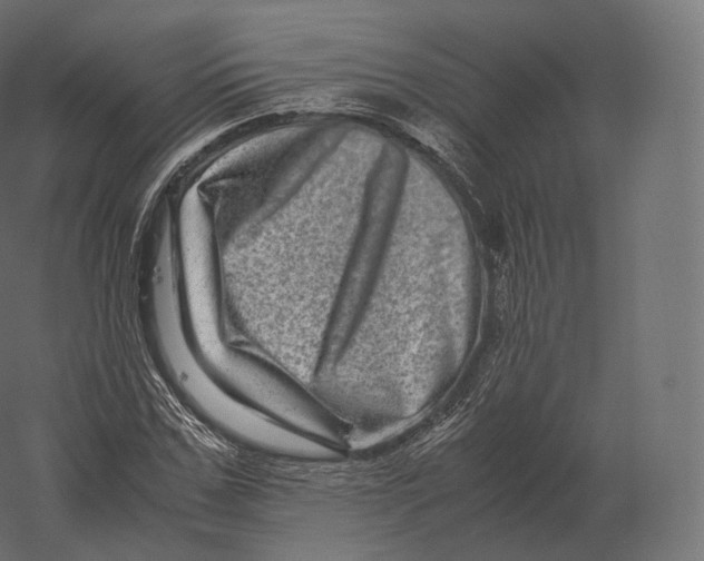 X0000060280971200511241517