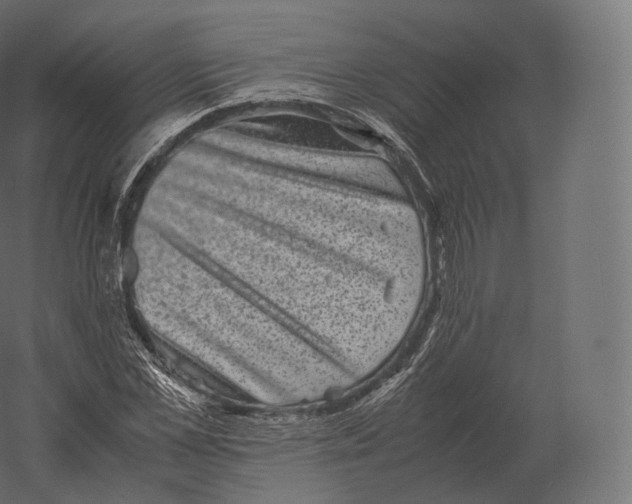 X0000060280973200511241517