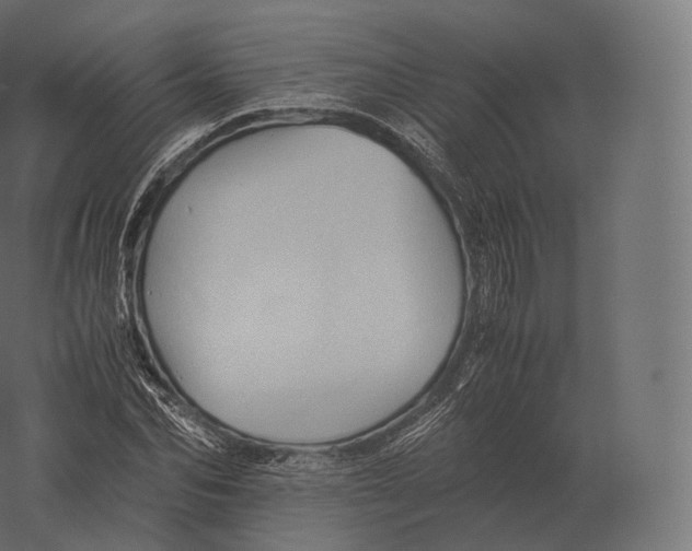 X0000060280974200511241517