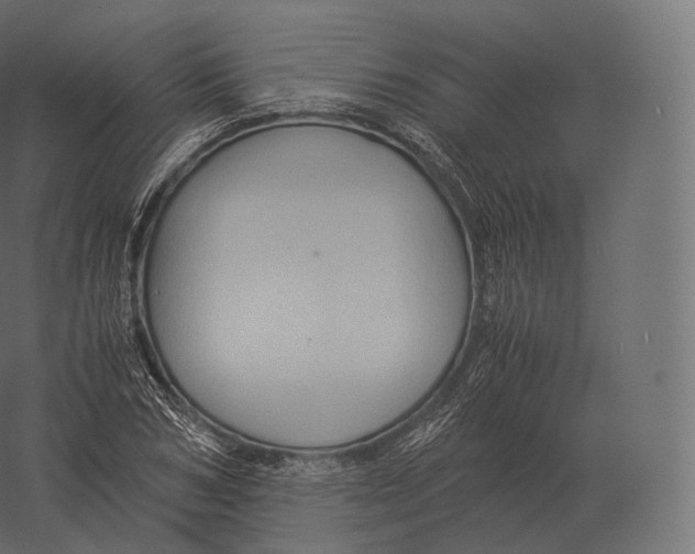 X0000060280978200511241517