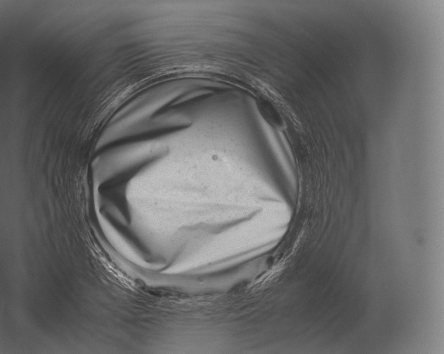 X0000060280985200511241516