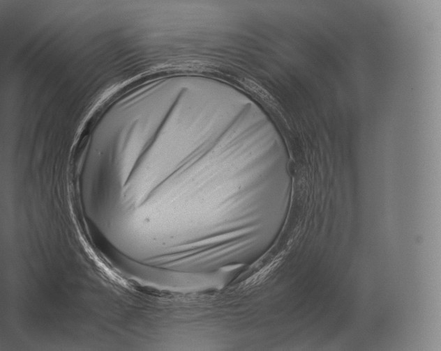 X0000060280989200511241516