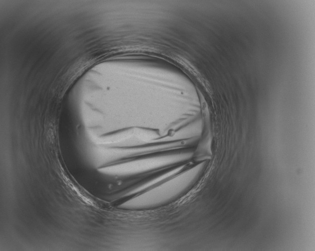 X0000060280993200511241516