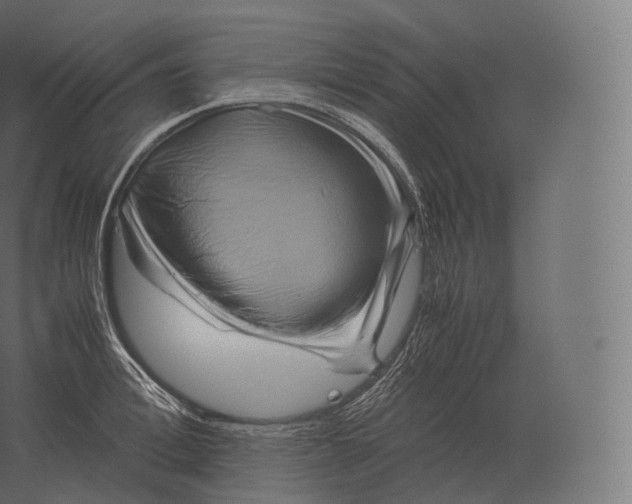 X0000060280996200511241516