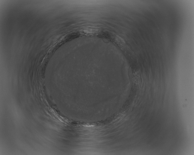 X0000060281009200511241515