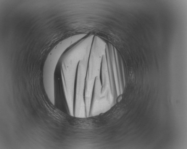 X0000060281012200511241515