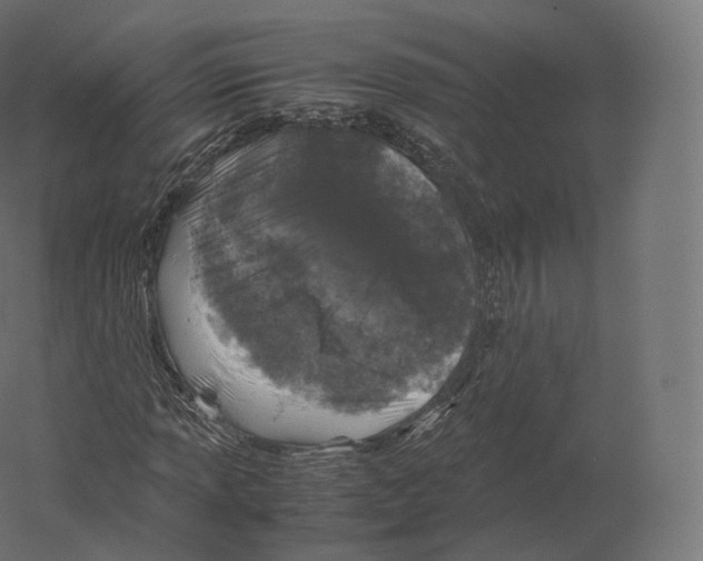 X0000060281013200511241515