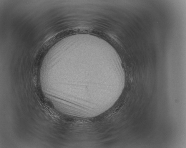 X0000060281015200511241515