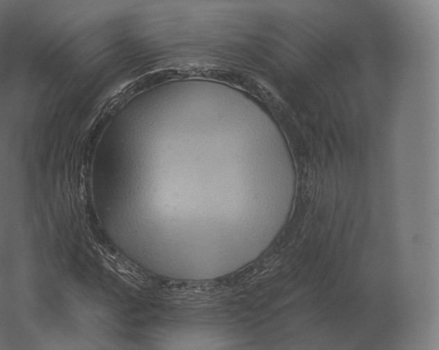 X0000060281016200511241515
