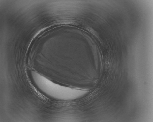 X0000060281024200511241515
