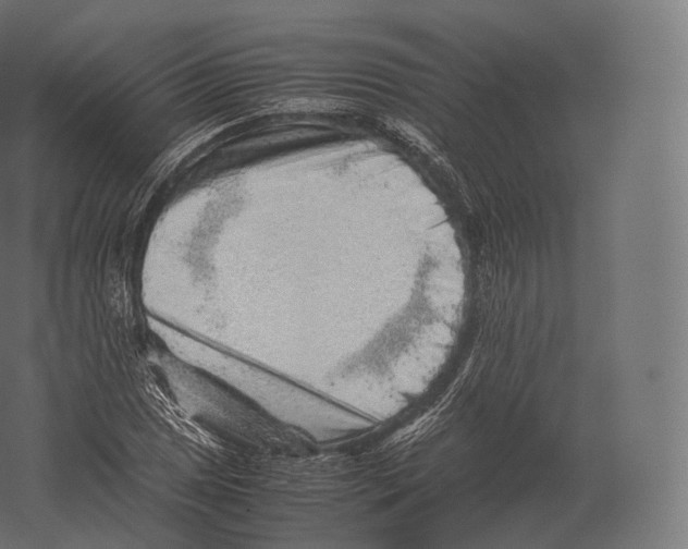 X0000060281025200511241515