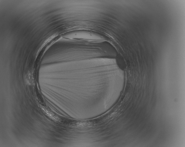 X0000060281026200511241515