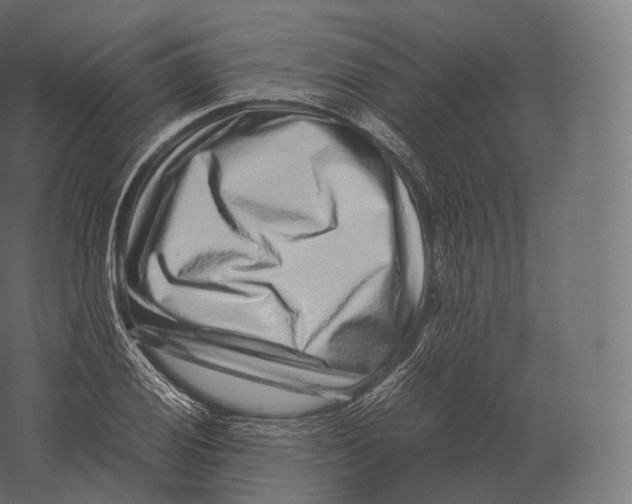 X0000060281028200511241516