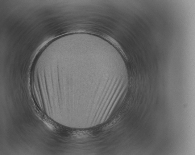 X0000060281051200511241516