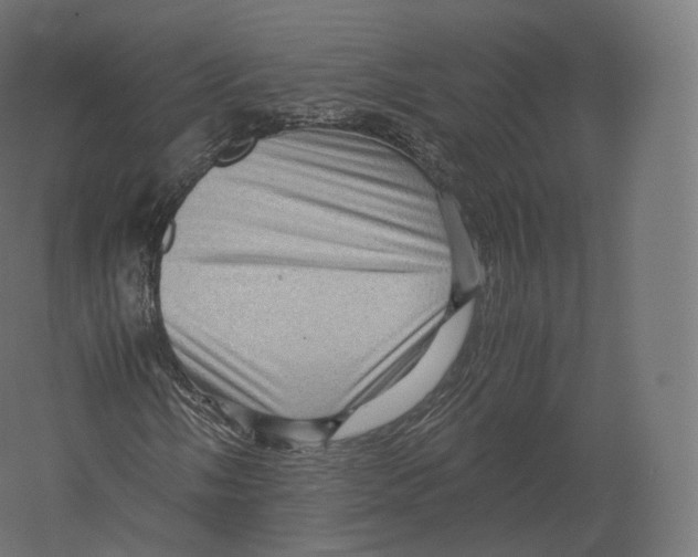 X0000060281058200511241515