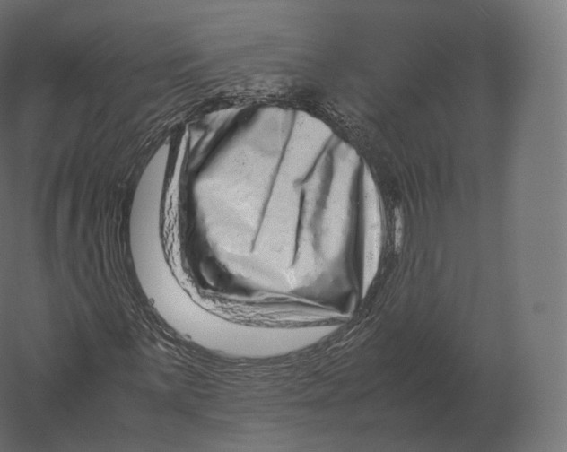 X0000060281059200511241515