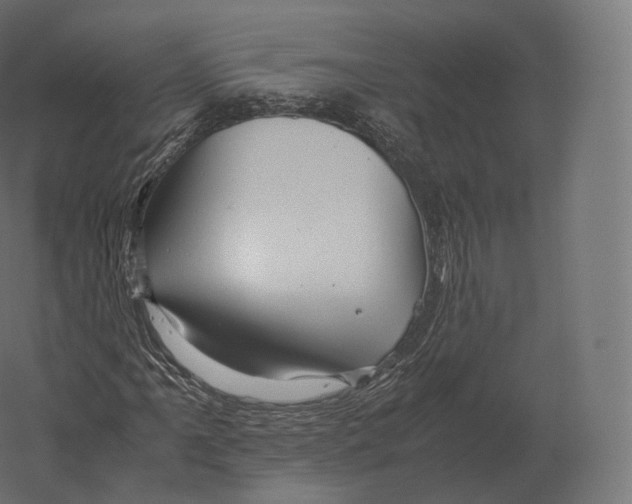 X0000060281061200511241515