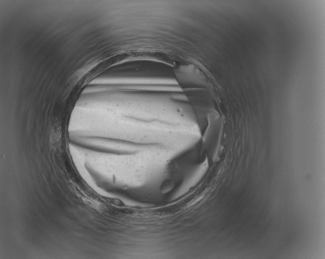 X0000060281065200511241515