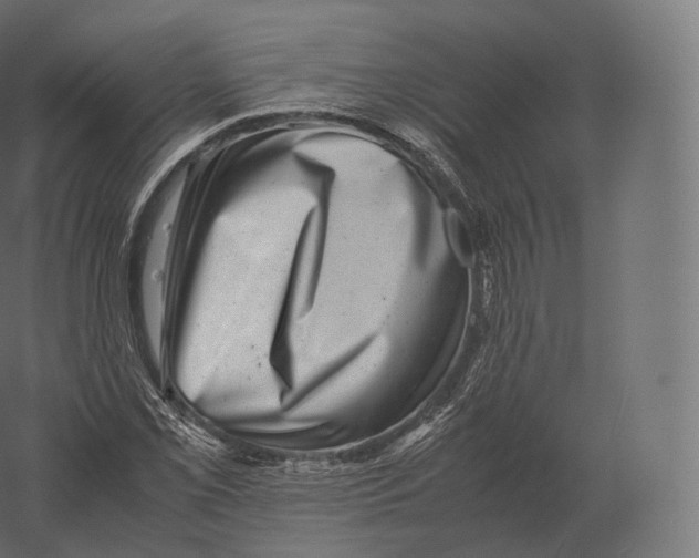 X0000060281069200511241515