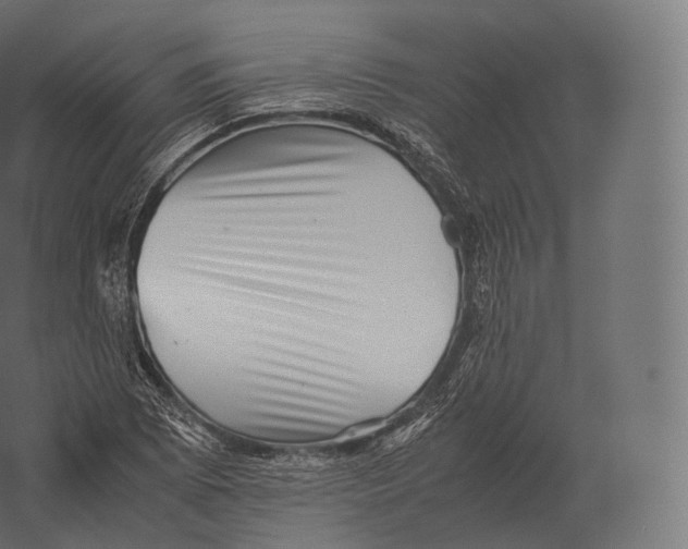 X0000060281073200511241515